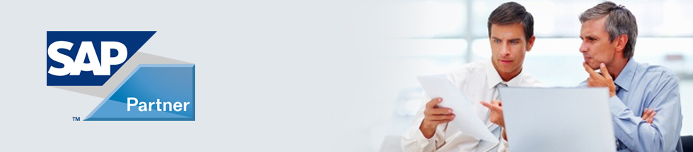 SAP Partner